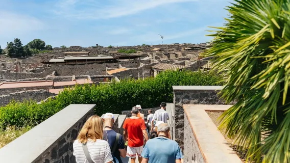 Da Napoli: tour di un giorno alle rovine di Pompei e al Vesuvio