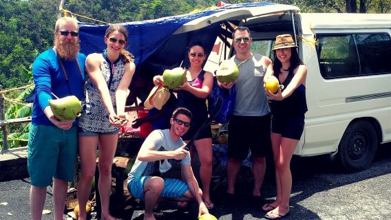 Depuis Castries : visite guidée de l'île de Sainte-Lucie
