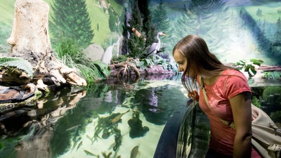 München: Tagesticket für Sea Life