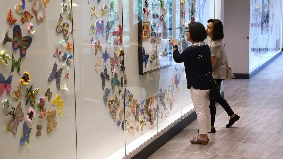 Houston: biglietto d'ingresso al Museo dell'Olocausto di Houston