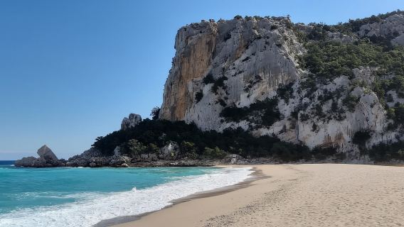 Da Baunei: trekking guidato di un'intera giornata a Cala Luna e Dorgali