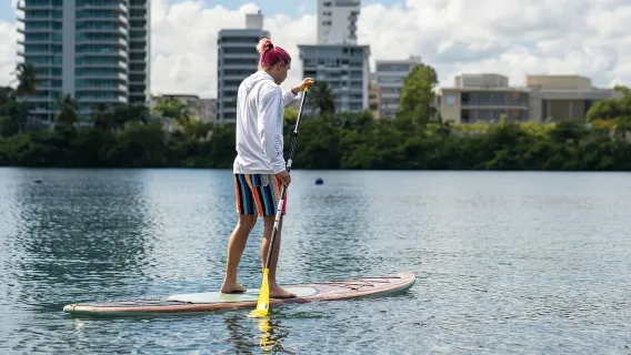 Condado: Alquiler de tablas de paddleboard