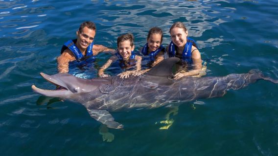 Riviera Maya: Nado con delfines Primax