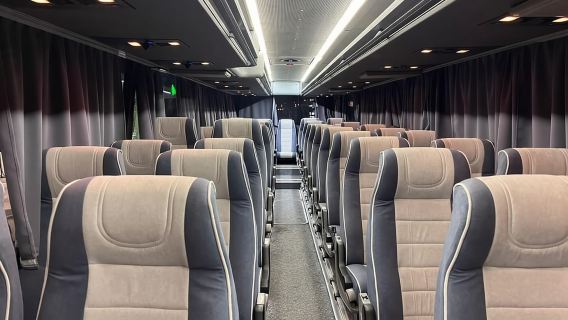 Từ Almaty: Chuyến đi trong ngày đến Kolsay, Hồ Kaindy và Hẻm núi Charyn