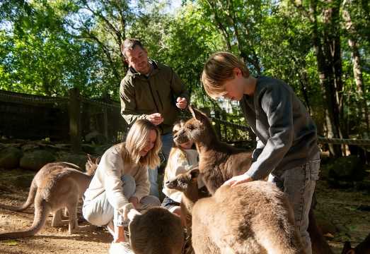 Byron Bay Wildlife Sanctuary Entry Ticket