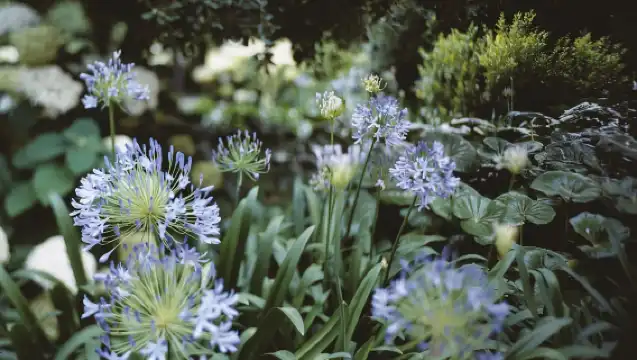 Venice: Convent Garden of Redentore Entry Ticket
