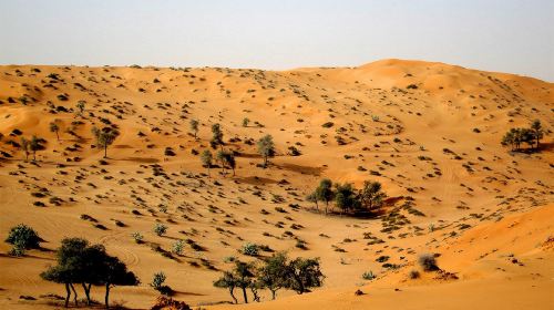 Ras Al Khaimah Desert Safari with Shared Transfer/Private Charter Option [Hotel Pick-up & Drop-off] Day Tours 6