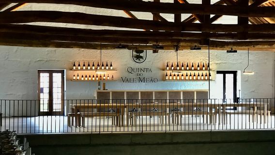 Duero desde Oporto: explore la cuna del vino de Barca Velha