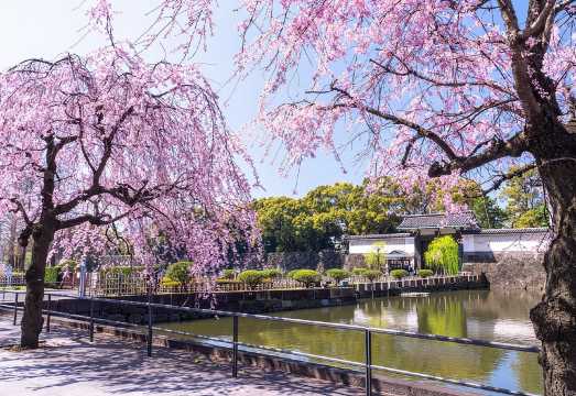 Tokyo, East Garden of the Imperial Palace w/ History Guide