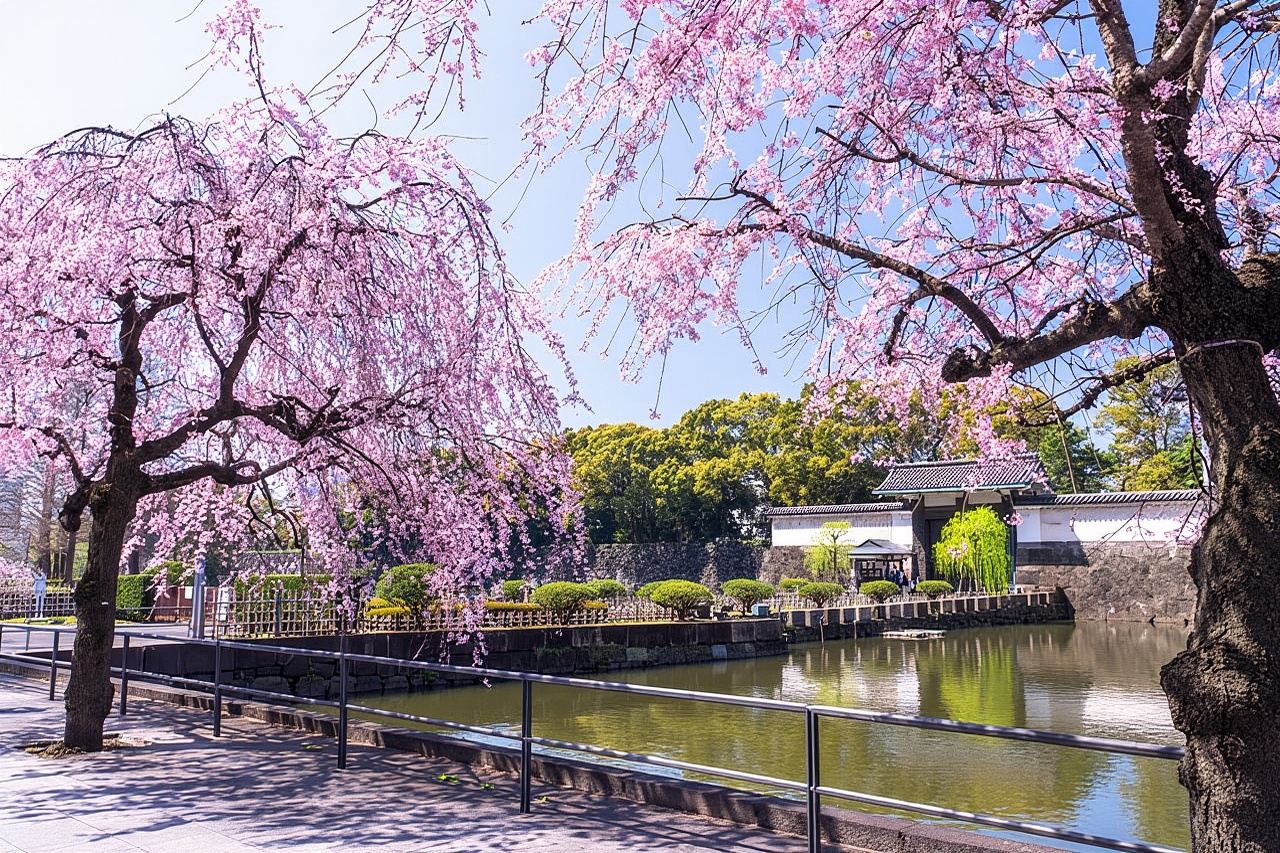 Tokyo, Giardino Orientale del Palazzo Imperiale con guida storica
