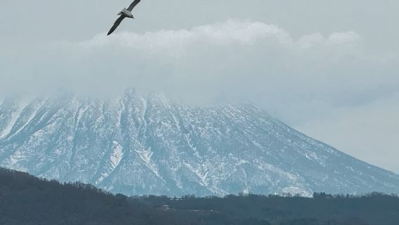 Sapporo round-trip private charter to Noboribetsu, Noboribetsu Jigokudani Valley, Lake Tōya, Lake Shikotsu and more - Premium Selection