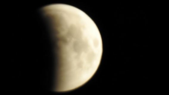 Riisitunturi National Park Private Snowshoe Adventure