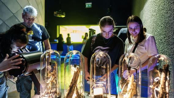 Amsterdam: Artis Royal Zoo & ARTIS-Micropia Combo Ticket