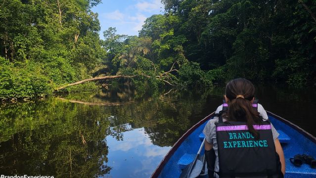 Canoe tour in Tortuguero National Park