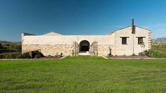Passeggiata nell'uliveto e degustazione