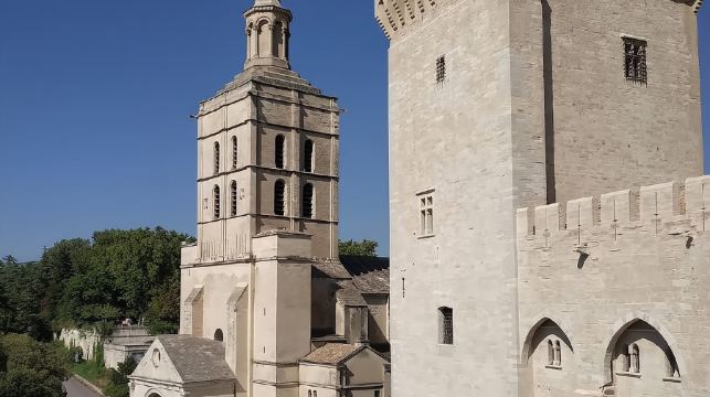 法國阿維尼翁城牆+教皇宮+阿維尼翁主教座堂【中文包車自由行】