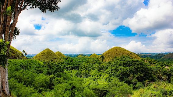 The tour of the must-see sites of Bohol