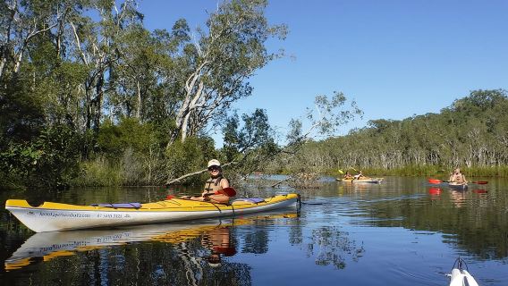 Self-Guided Noosa Everglades Kayak Tour