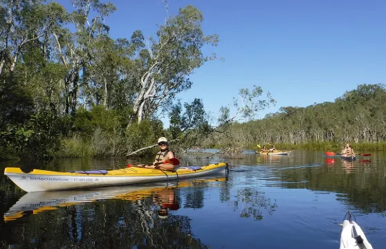 努沙大沼澤地皮划艇自助遊
