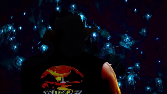 Blue Mountains Hiking Glow worms Cave Wildlife Spotlighting Night Adventure