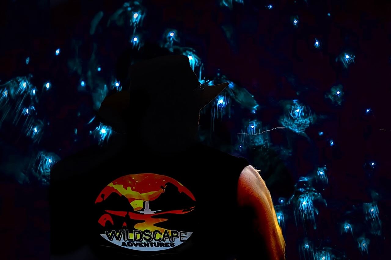 블루 마운틴 하이킹, 반딧불이, 동굴, 야생 동물 관찰, 야간 모험