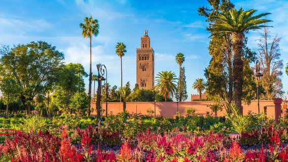 Marrakech Full Day Guided City Tour - Private Tour