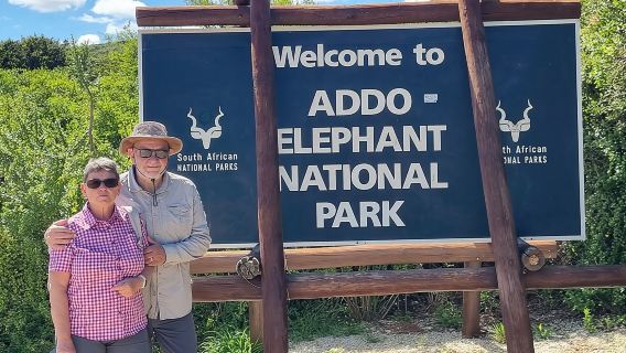 Private Halbtages-Safari im Addo Elephant National Park