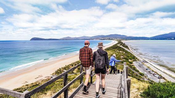 Bruny Island Food, Sightseeing, Guided Lighthouse Tour & Lunch