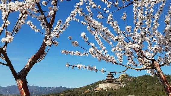 Gita di un giorno alla Grande Muraglia di Mutianyu e al Palazzo d'Estate con autista parlante inglese