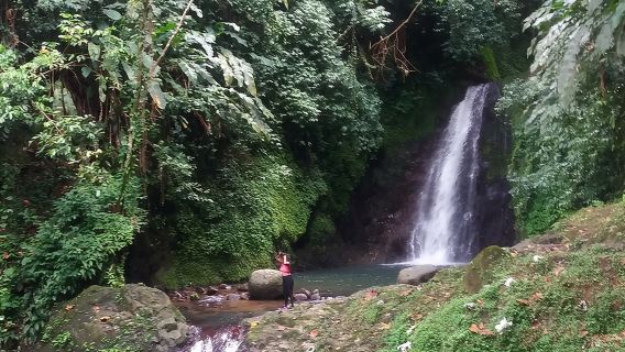 Half Day Grenada Seven Sisters, Grand Etang Nature Center Hiking Tour