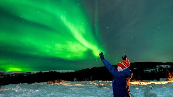 Aurora Borealis Safari in Tromsø, Norway (Explore the Northern Lights in the Nordic Wilderness by bus)