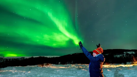 Aurora Borealis Safari in Tromsø, Norway (Explore the Northern Lights in the Nordic Wilderness by bus)