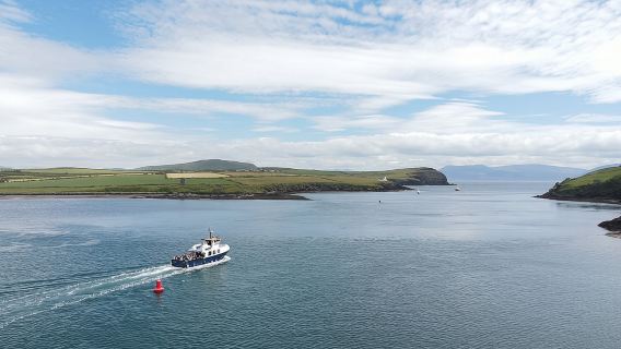 Boat Tour of Dingle Peninsula