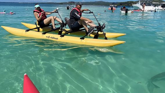 La Parguera Chiliboats Waterbike Adventure Tour