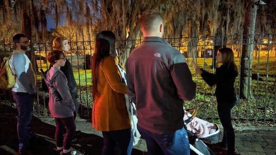 Mèo Sợ Hãi: Chuyến Du Lịch Ma Quái Vui Nhộn Cho Gia Đình Ở Savannah