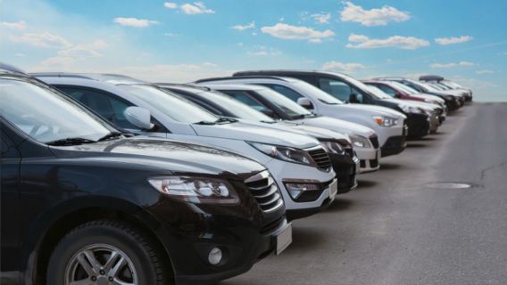 Bintan Private One-way Land Transfer