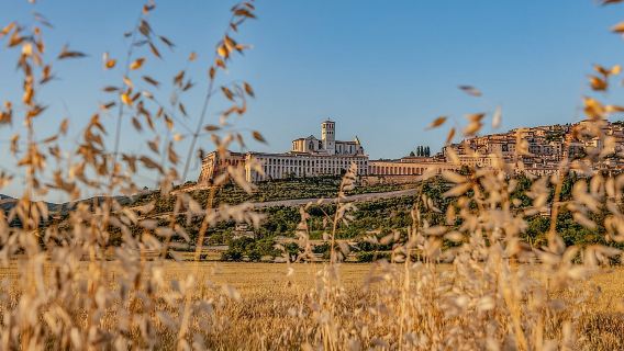 Assisi auf den Spuren des Heiligen Franziskus und Carlo Acutis