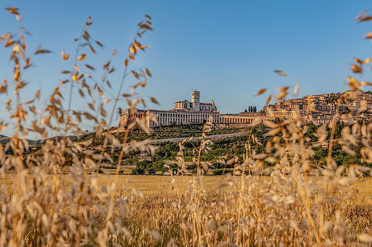 Assisi on the Footsteps of St. Francis and Carlo Acutis