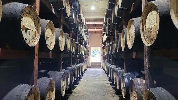 The Barrilito Rum Factory Experience Transportation Included