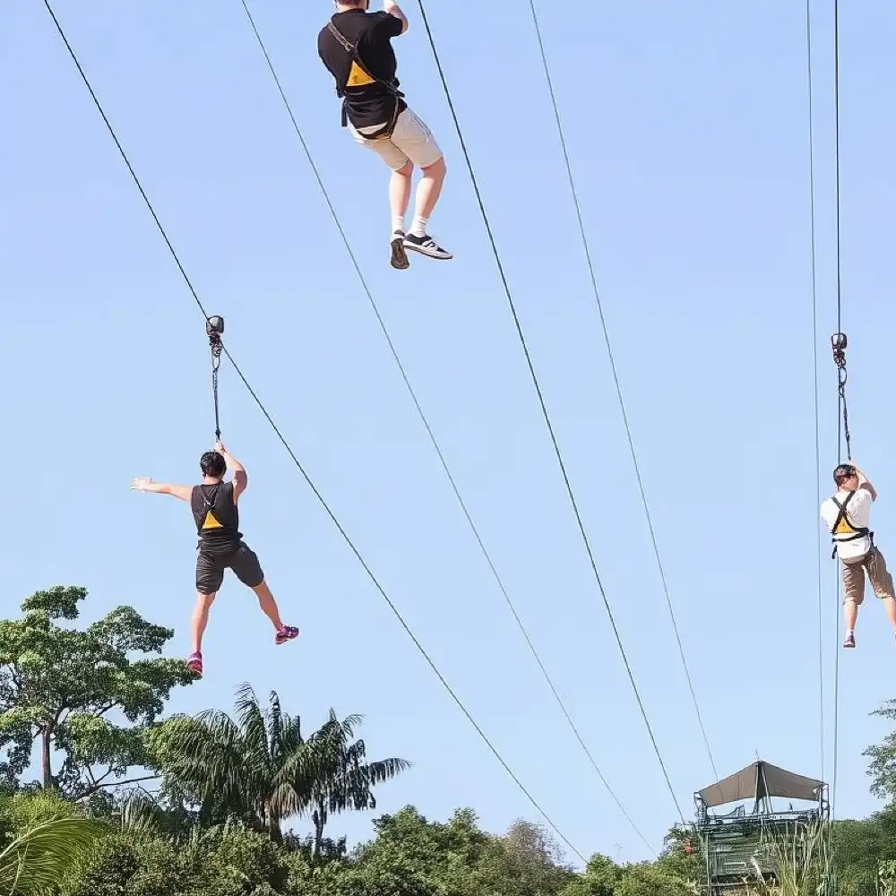 ドラカプ  アドベンチャー編　コンプリート ドラカプ アドベンチャー編コンプリート