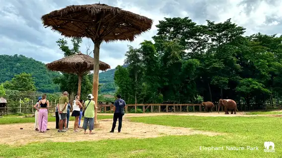 大象自然保護公園半日午後參觀行程