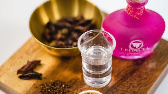 Explore Mexico Finest Agave Spirits and Cocktails