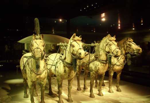 [15-person] 1-day tour to Emperor Qinshihuang's Mausoleum Site Museum + Lishan Garden with Chinese/English guide