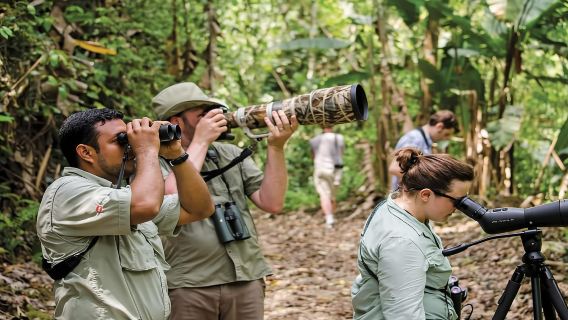 Bayahibe: tour di birdwatching con guida