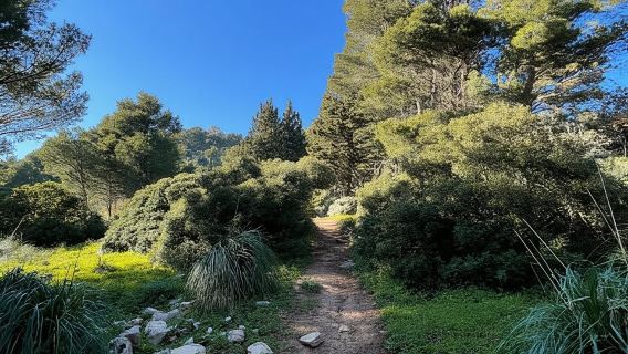 Palermo: Trekking por Monte Gallo con picnic