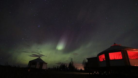 Fairbanks: Late Night Yurt Dinner and Northern Lights