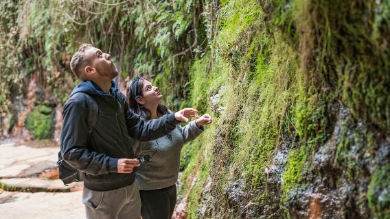 Da Granada: tour guidato di un giorno nei villaggi dell'Alpujarra
