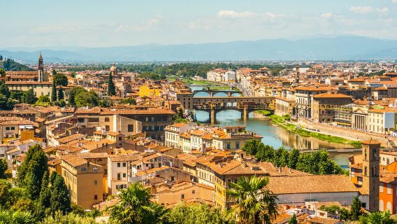 Desde Roma: Tren a Florencia y entradas sin colas a la Galería Uffizi