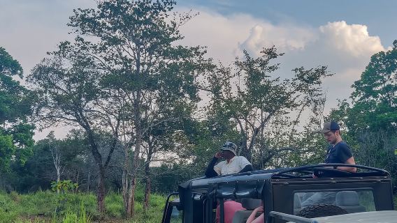 Hurulu Eco Park: 3-stündige Morgen- oder Abendsafari