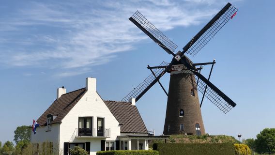 Eindhoven: tour in e-Fatbike sulle orme di Vincent van Gogh